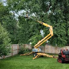 Reliable Tuckerman, AR Tree Services Solutions